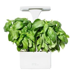 Short Stories LED Indoor Planter NEW